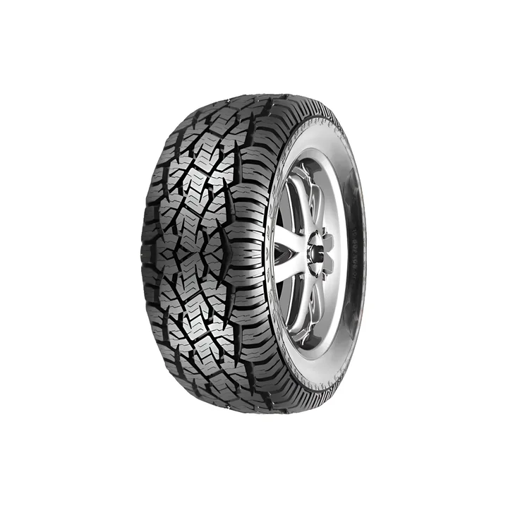 205/60R16 ROADWING RW782